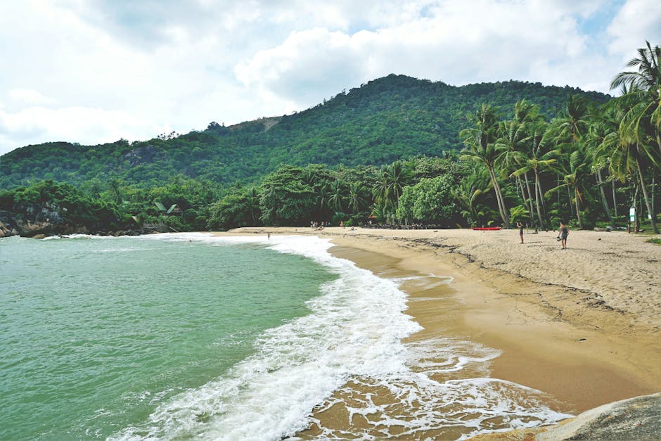 Plage paradisiaque de Koh Lanta en Thaïlande avec eau cristalline et cocotiers